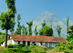 thumb-Tea-Plantation-Kerala